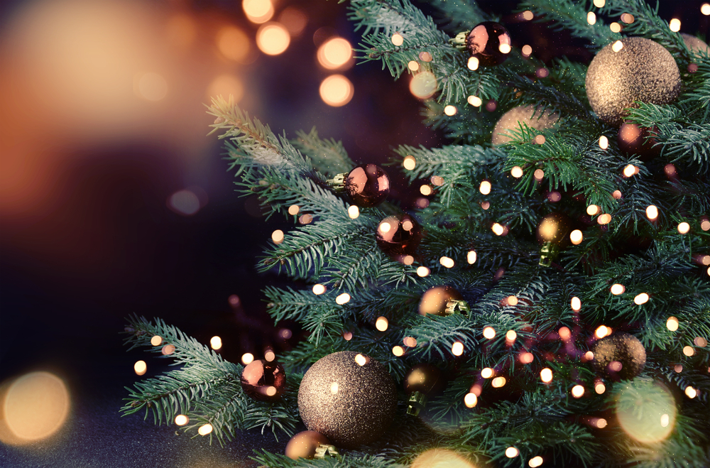 Saiba mais sobre a tradição dos pinheiros de Natal - Blog Misterius